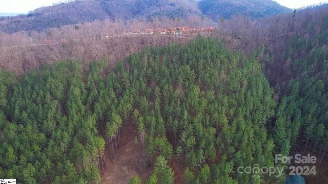 Property image 3 at 0 Pine Needle Lane, Bostic, NC 28018