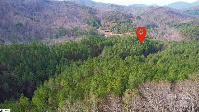 Property image 4 at 0 Pine Needle Lane, Bostic, NC 28018