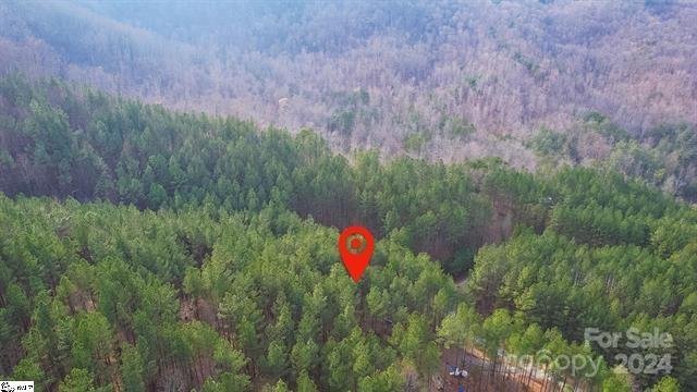 Property image 5 at 0 Pine Needle Lane, Bostic, NC 28018