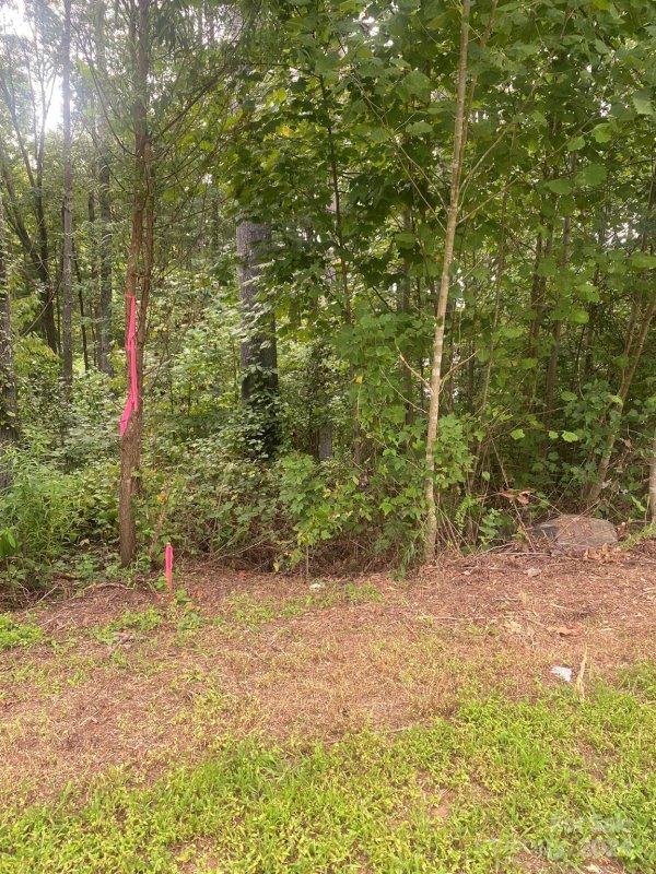 Property image 4 at 338 E Settings Boulevard, Valdese, NC 28690