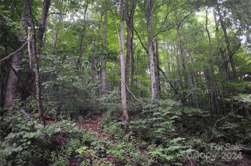 Property image 2 of 132 Ironwood Lane in Creston, Black Mountain, NC 28711