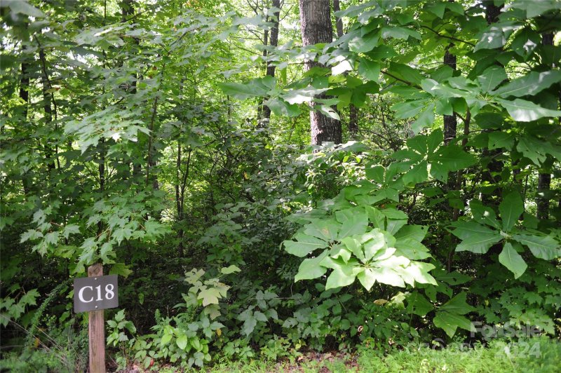 Property image 4 of 132 Ironwood Lane in Creston, Black Mountain, NC 28711