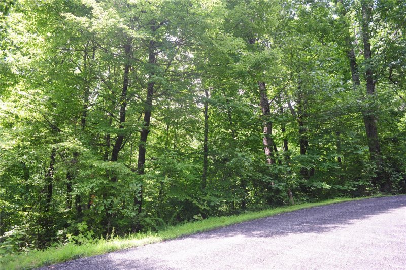 Property image 5 of 132 Ironwood Lane in Creston, Black Mountain, NC 28711