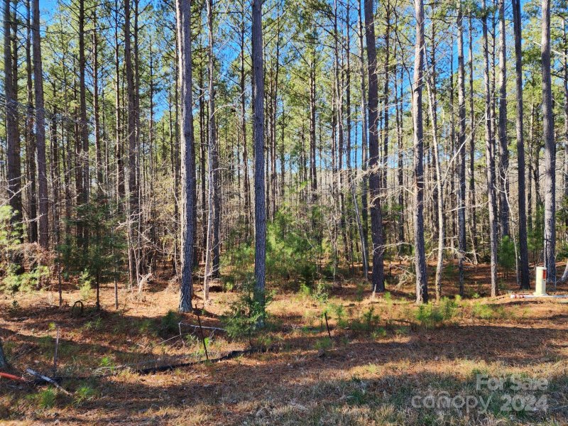 Property image 2 at 3331 Sherman Drive, Lancaster, SC 29720