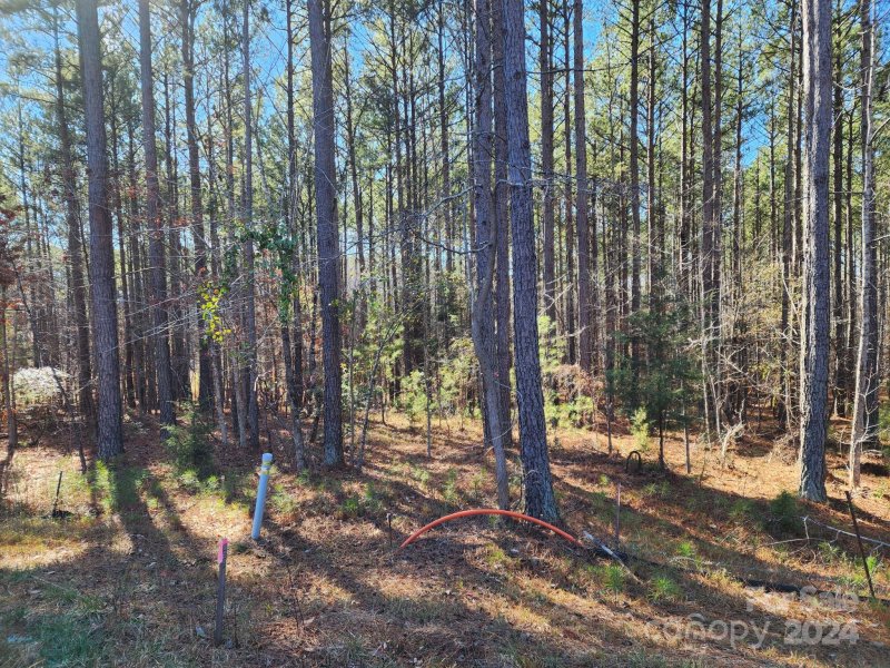 Property image 3 at 3331 Sherman Drive, Lancaster, SC 29720
