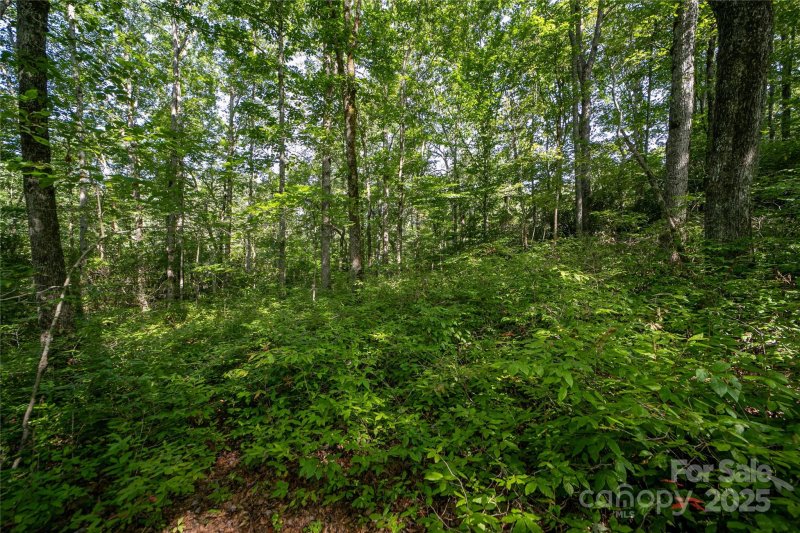 Property image 4 of Lot 8 Sweetwater Ridge Road in Sweetwater Ridge, Balsam Grove, NC 28708