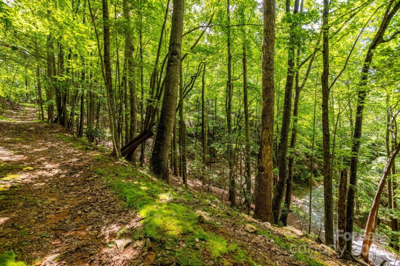 Property image 3 of 40 Cedar Drive in High Vista, Mills River, NC 28759