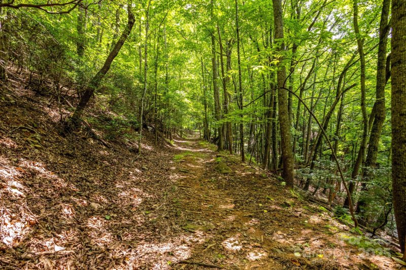 Property image 4 of 40 Cedar Drive in High Vista, Mills River, NC 28759