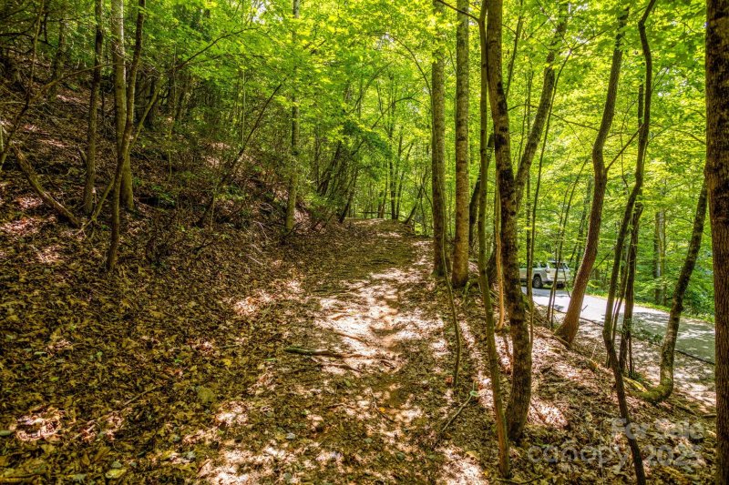 Property image 5 of 40 Cedar Drive in High Vista, Mills River, NC 28759