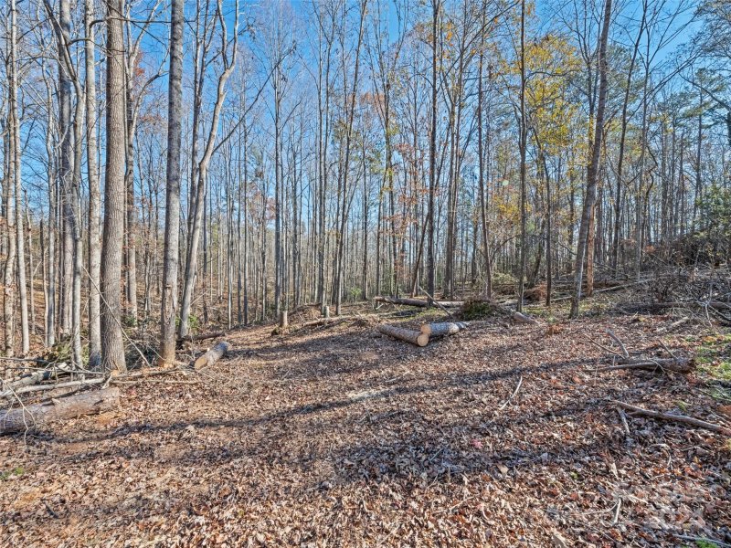 Property image 2 of 00000 E Melissa Lane in Woodfield, Forest City, NC 28043