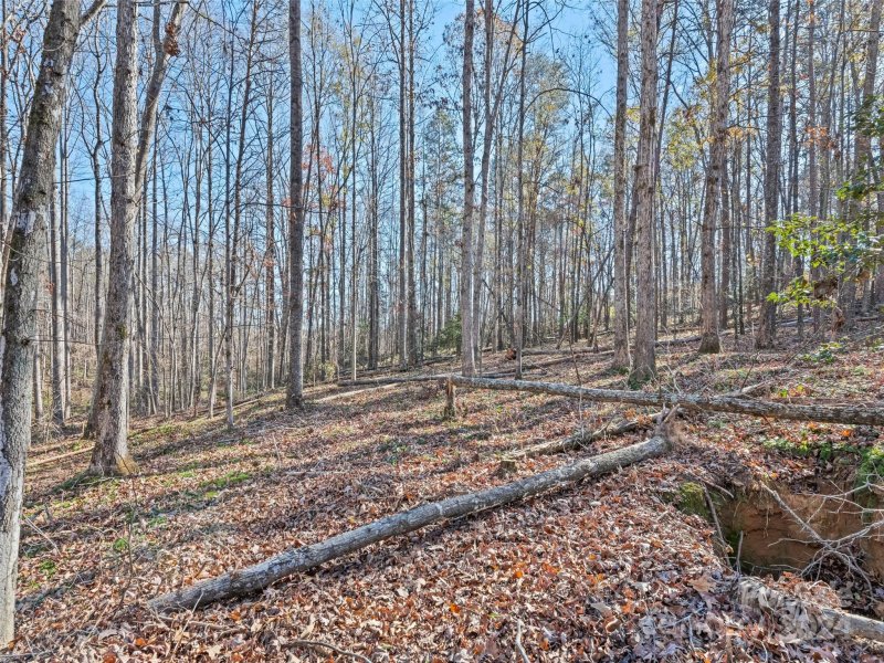 Property image 3 of 00000 E Melissa Lane in Woodfield, Forest City, NC 28043