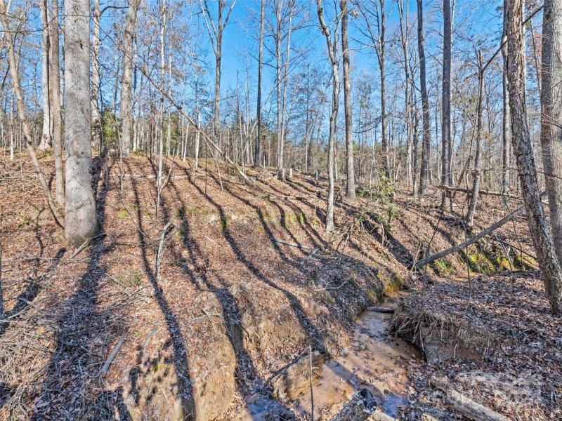 Property image 4 of 00000 E Melissa Lane in Woodfield, Forest City, NC 28043