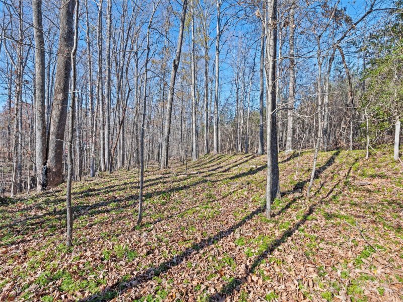 Property image 5 of 00000 E Melissa Lane in Woodfield, Forest City, NC 28043