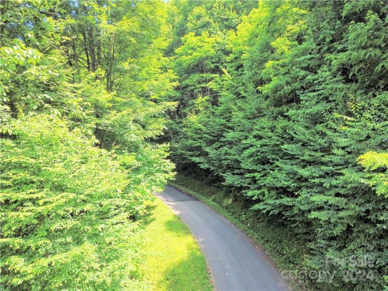 Property image 4 at 00 Trickle Creek Road, Waynesville, NC 28785