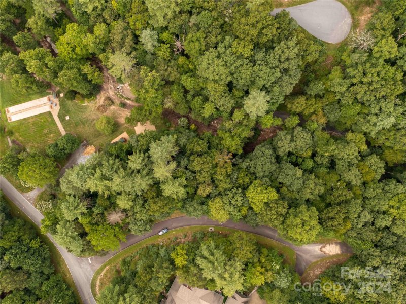 Property image 3 of 809 Mountain Ivy Lane in Champion Hills, Hendersonville, NC 28739