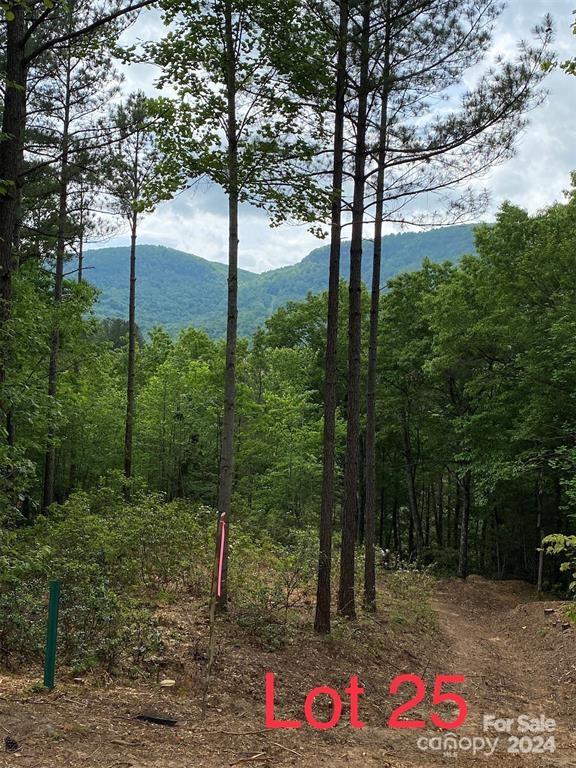 Property image 2 of 25 Monteith Place in Brights Creek, Mill Spring, NC 28756