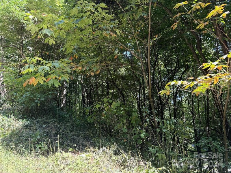 Property image 2 at 0 Kitty Lane, Waynesville, NC 28785