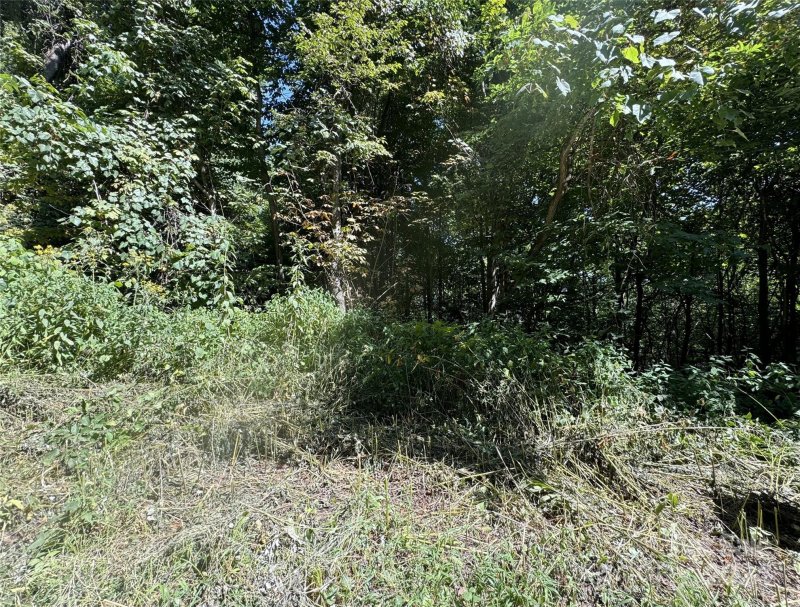 Property image 3 at 0 Kitty Lane, Waynesville, NC 28785