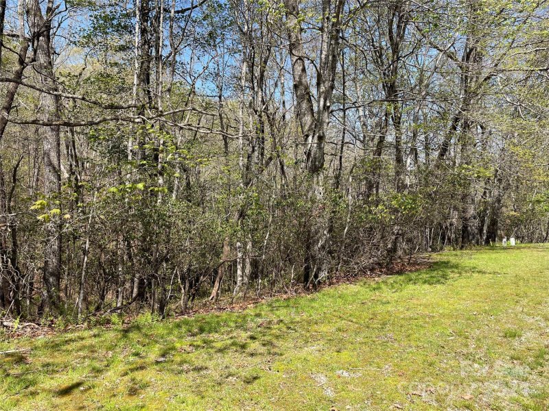 Property image 4 at Tbd Dudi Court, Brevard, NC 28712