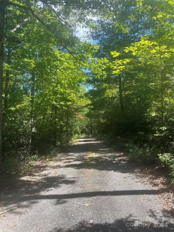 Property image 5 of 0 Mintwood Court in The Camp at Lake Lure, Lake Lure, NC 28746