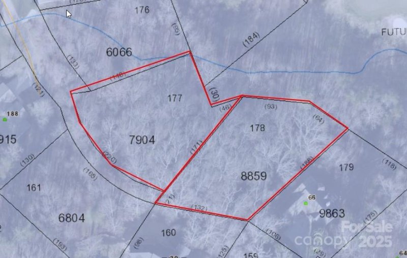 Property image 3 at 888 Glen Eagles Lane, Mills River, NC 28759