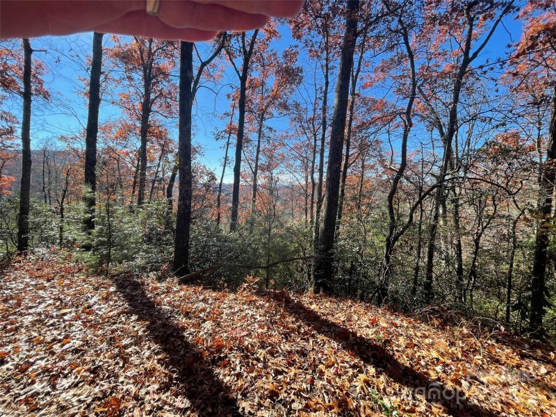 Property image 3 at Lot 134 Green Hollow Lane, Brevard, NC 28712