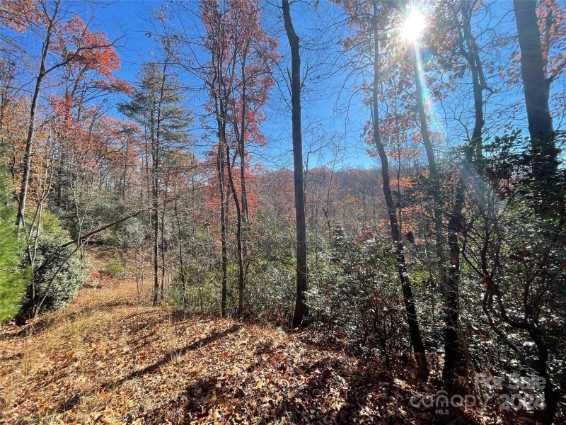 Property image 4 at Lot 134 Green Hollow Lane, Brevard, NC 28712