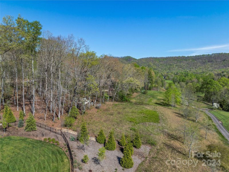 Property image 4 of 550 Walnut Valley Parkway in The Cliffs At Walnut Cove, Arden, NC 28704