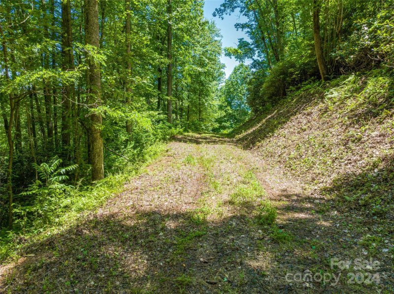 Property image 3 at 40 Bear Flower Trail, Arden, NC 28704