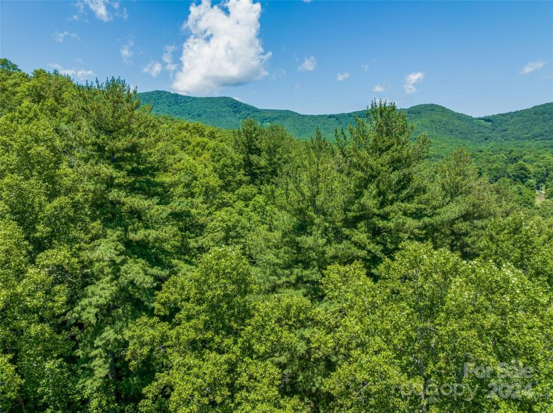 Property image 5 at 40 Bear Flower Trail, Arden, NC 28704