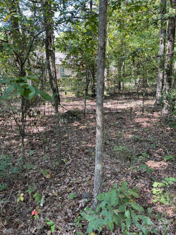 Property image 2 at 446 Mint Street, Rock Hill, SC 29730