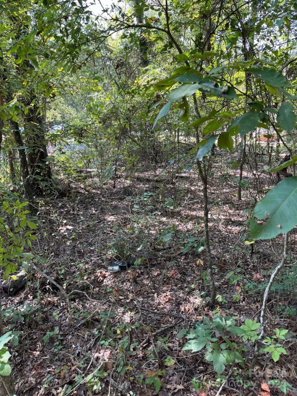 Property image 3 at 446 Mint Street, Rock Hill, SC 29730