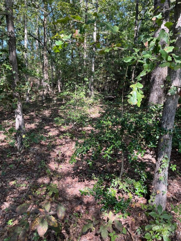 Property image 4 at 446 Mint Street, Rock Hill, SC 29730