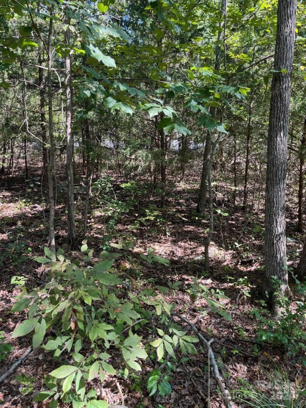 Property image 5 at 446 Mint Street, Rock Hill, SC 29730