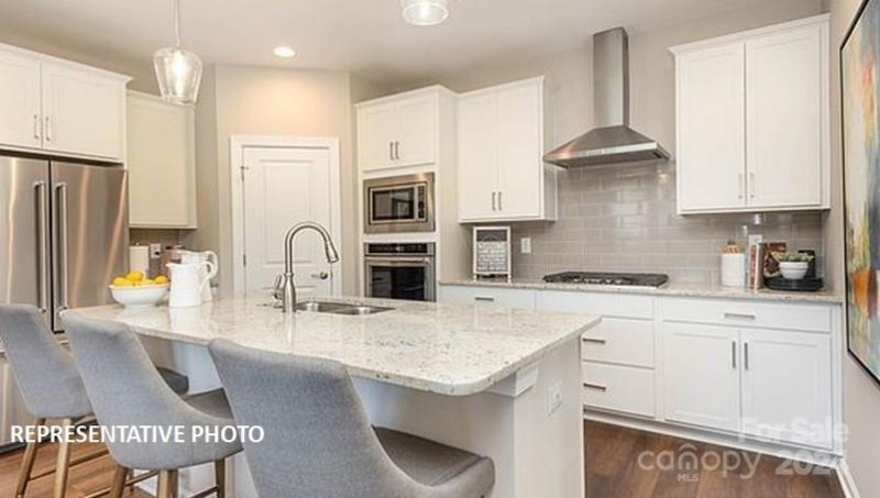 Property image 4 at 10540 Audubon Ridge Drive, Cornelius, NC 28031