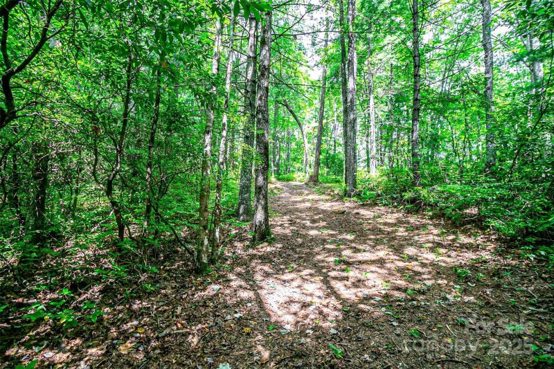 Property image 3 at Tbd Big Branch Road, Brevard, NC 28712