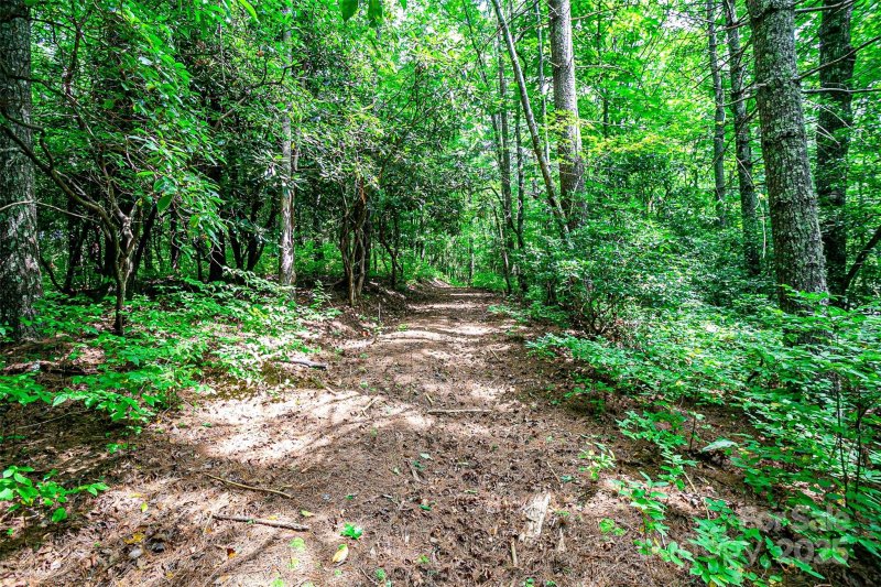 Property image 4 at Tbd Big Branch Road, Brevard, NC 28712