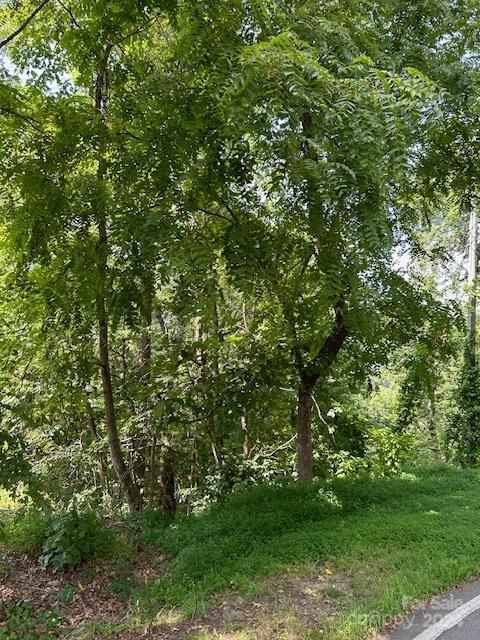 Property image 3 at 46 Elk Mountain Ridge, Asheville, NC 28804