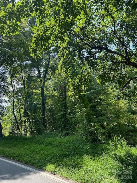 Property image 4 at 46 Elk Mountain Ridge, Asheville, NC 28804