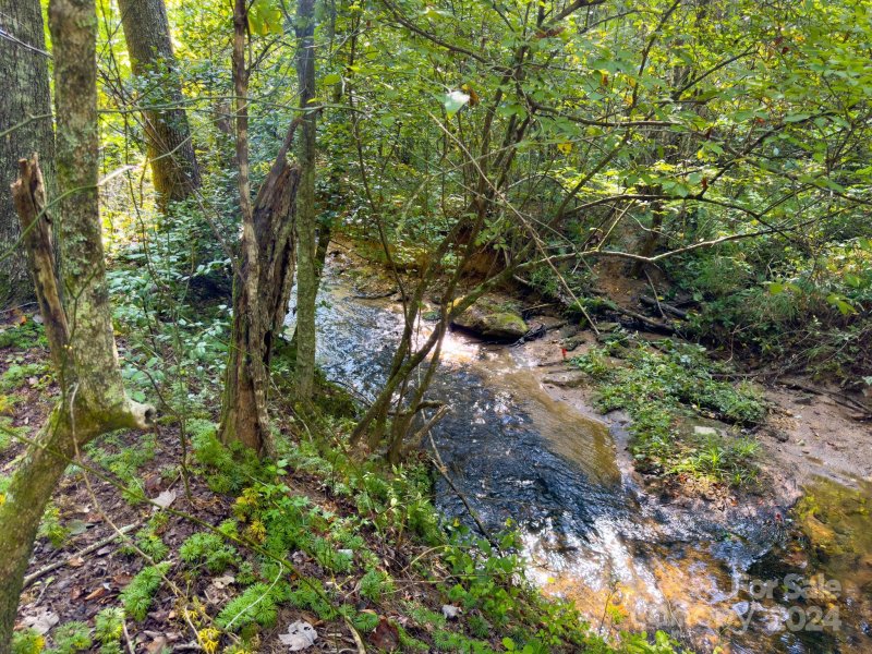 Property image 2 at Tbd Double Eagle Drive, Nebo, NC 28761