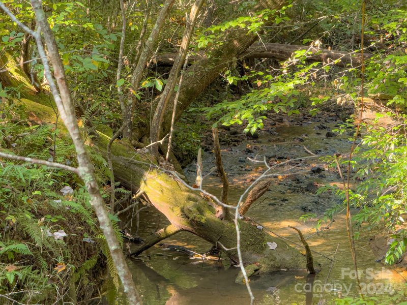 Property image 3 at Tbd Double Eagle Drive, Nebo, NC 28761