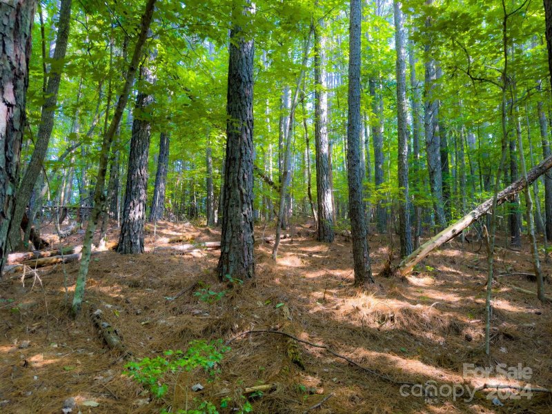Property image 4 at Tbd Double Eagle Drive, Nebo, NC 28761