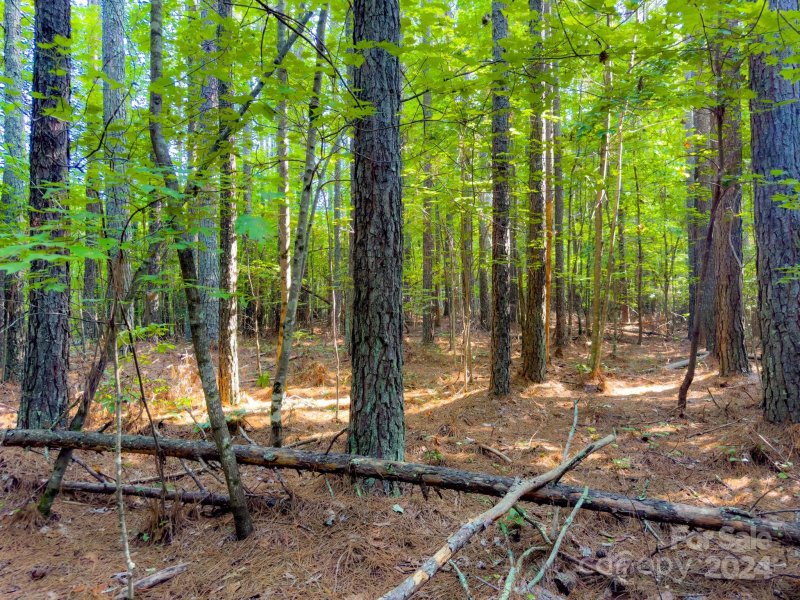 Property image 5 at Tbd Double Eagle Drive, Nebo, NC 28761