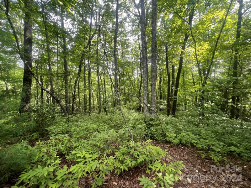 Property image 2 of 000 Laurel Thicket Lane in Big Hill, Brevard, NC 28712