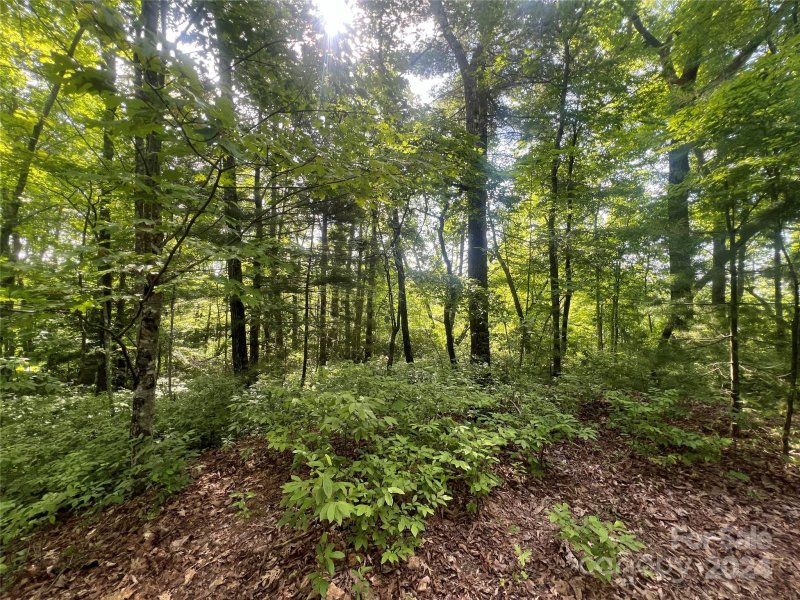 Property image 3 of 000 Laurel Thicket Lane in Big Hill, Brevard, NC 28712