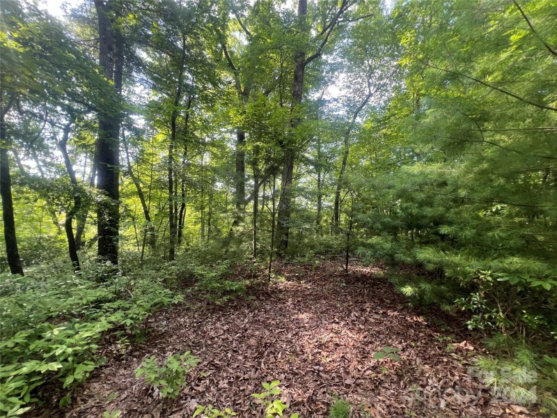 Property image 4 of 000 Laurel Thicket Lane in Big Hill, Brevard, NC 28712