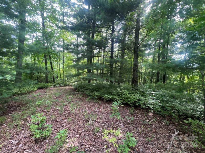 Property image 2 at 999 Laurel Thicket Lane, Brevard, NC 28712