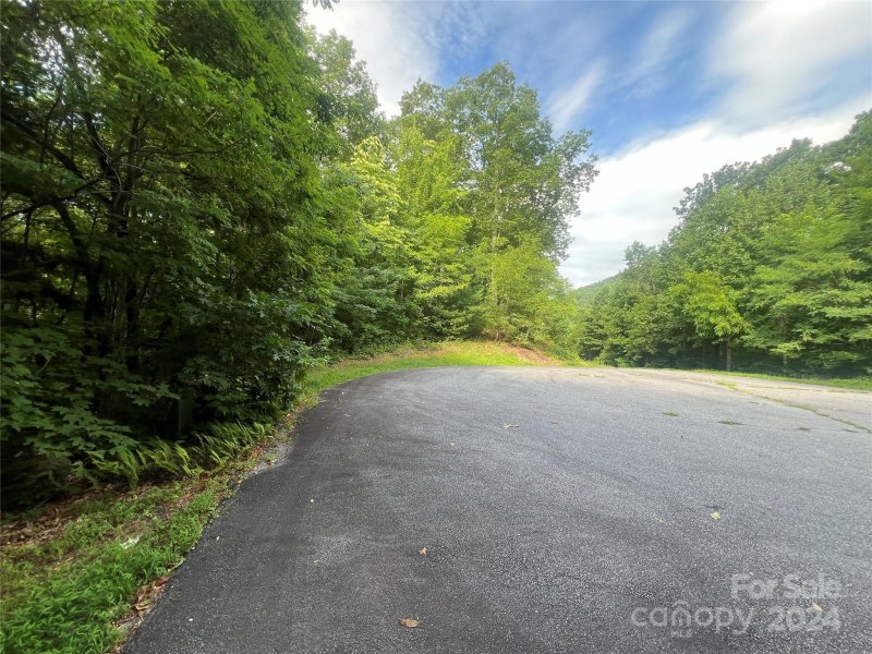 Property image 3 at 999 Laurel Thicket Lane, Brevard, NC 28712