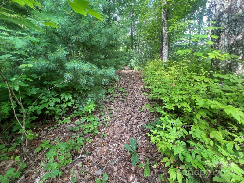 Property image 4 at 999 Laurel Thicket Lane, Brevard, NC 28712