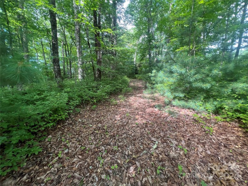 Property image 5 at 999 Laurel Thicket Lane, Brevard, NC 28712